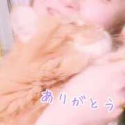 ヒメ日記 2026/01/27 14:44 投稿 仲 ひろこ こあくまな熟女たち三河店（KOAKUMAグループ）