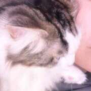 ヒメ日記 2026/01/27 15:24 投稿 仲 ひろこ こあくまな熟女たち三河店（KOAKUMAグループ）