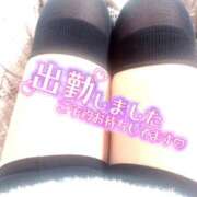 ヒメ日記 2026/01/24 17:23 投稿 あいか 宇都宮人妻デリバリー 一期一会 二章