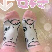 ヒメ日記 2026/02/02 13:40 投稿 あいか 宇都宮人妻デリバリー 一期一会 二章