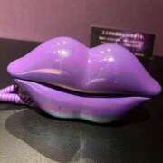 ヒメ日記 2026/03/29 09:20 投稿 あいか 宇都宮人妻デリバリー 一期一会 二章