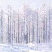 ヒメ日記 2026/01/20 20:18 投稿 早坂ゆず 月の真珠-新宿-