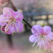 ヒメ日記 2026/01/30 17:28 投稿 早坂ゆず 月の真珠-新宿-