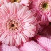 ヒメ日記 2026/02/20 19:08 投稿 早坂ゆず 月の真珠-新宿-