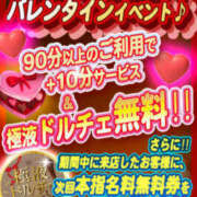 ヒメ日記 2026/03/11 23:06 投稿 つばき プールサイド