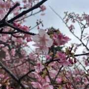 ヒメ日記 2026/02/01 22:20 投稿 まな 吉原ファーストレディ