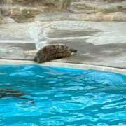 ヒメ日記 2026/01/20 17:32 投稿 ゆま アラカルト