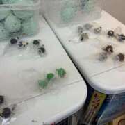 ヒメ日記 2026/01/22 18:34 投稿 ゆま アラカルト