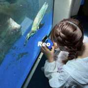ヒメ日記 2026/09/13 11:01 投稿 れお ビアガーデンカーニバル