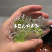 ヒメ日記 2026/09/29 13:31 投稿 れお ビアガーデンカーニバル