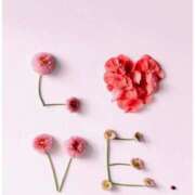 ヒメ日記 2026/02/09 14:12 投稿 かな 熟女総本店