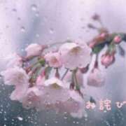 かな お詫びです。 熟女総本店