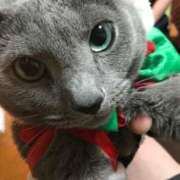 ヒメ日記 2026/01/11 22:53 投稿 天音 りつ 人妻セレブ宮殿