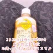 ヒメ日記 2026/02/23 05:16 投稿 今野のりこ 五十路マダムエクスプレス船橋店(カサブランカグループ)