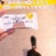 ヒメ日記 2026/02/25 08:54 投稿 今野のりこ 五十路マダムエクスプレス船橋店(カサブランカグループ)