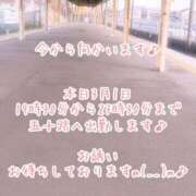 ヒメ日記 2026/03/01 17:10 投稿 今野のりこ 五十路マダムエクスプレス船橋店(カサブランカグループ)