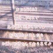 ヒメ日記 2026/03/05 09:12 投稿 今野のりこ 五十路マダムエクスプレス船橋店(カサブランカグループ)