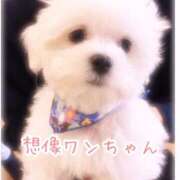 ヒメ日記 2026/03/06 09:58 投稿 今野のりこ 五十路マダムエクスプレス船橋店(カサブランカグループ)