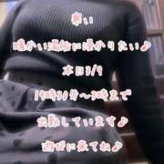 ヒメ日記 2026/03/09 17:28 投稿 今野のりこ 五十路マダムエクスプレス船橋店(カサブランカグループ)