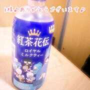 ヒメ日記 2026/03/17 21:02 投稿 今野のりこ 五十路マダムエクスプレス船橋店(カサブランカグループ)