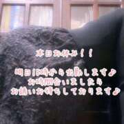 ヒメ日記 2026/03/19 11:34 投稿 今野のりこ 五十路マダムエクスプレス船橋店(カサブランカグループ)