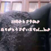 ヒメ日記 2026/04/04 17:34 投稿 今野のりこ 五十路マダムエクスプレス船橋店(カサブランカグループ)