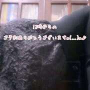 ヒメ日記 2026/04/15 11:14 投稿 今野のりこ 五十路マダムエクスプレス船橋店(カサブランカグループ)