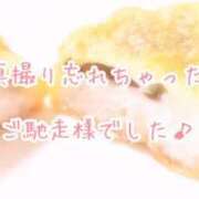 ヒメ日記 2026/05/09 17:24 投稿 今野のりこ 五十路マダムエクスプレス船橋店(カサブランカグループ)