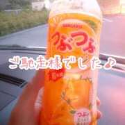 ヒメ日記 2026/06/09 11:34 投稿 今野のりこ 五十路マダムエクスプレス船橋店(カサブランカグループ)