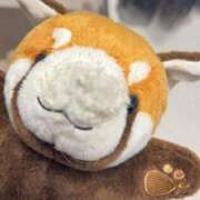 ヒメ日記 2026/01/14 14:52 投稿 ゆん ドマーニ