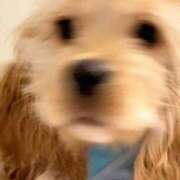 ヒメ日記 2026/01/26 13:59 投稿 ゆん ドマーニ