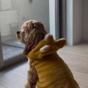 ヒメ日記 2026/02/04 20:20 投稿 ゆん ドマーニ