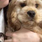 ヒメ日記 2026/02/08 10:02 投稿 ゆん ドマーニ