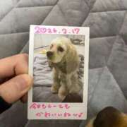 ヒメ日記 2026/02/17 08:01 投稿 ゆん ドマーニ