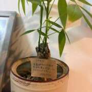 ヒメ日記 2026/02/26 08:01 投稿 ゆん ドマーニ