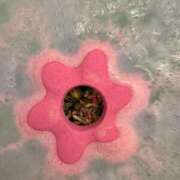 ヒメ日記 2026/03/10 08:01 投稿 ゆん ドマーニ