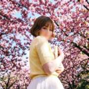 ヒメ日記 2026/03/21 11:01 投稿 ゆん ドマーニ