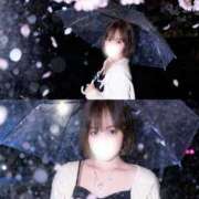 ヒメ日記 2026/03/30 20:31 投稿 ゆん ドマーニ