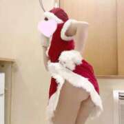 ヒメ日記 2026/01/12 17:25 投稿 こなつ 若葉