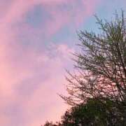 ヒメ日記 2026/01/17 12:13 投稿 りな 池袋しろパラ