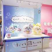 ヒメ日記 2026/02/23 10:42 投稿 りな 池袋しろパラ