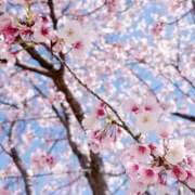 ヒメ日記 2026/03/21 14:25 投稿 りな 池袋しろパラ