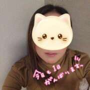 ヒメ日記 2026/01/26 09:50 投稿 村山なほ 月の真珠-五反田-