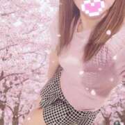 ヒメ日記 2026/04/02 09:50 投稿 村山なほ 月の真珠-五反田-