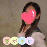 ヒメ日記 2026/04/09 12:30 投稿 村山なほ 月の真珠-五反田-