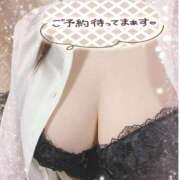 ヒメ日記 2026/01/20 11:45 投稿 あお ままどーる