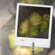 ヒメ日記 2026/02/15 17:57 投稿 おうか 沼津人妻花壇