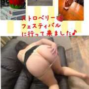 ヒメ日記 2026/02/28 16:21 投稿 おうか 沼津人妻花壇