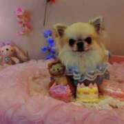 なこ 3月24日は休みよ🩷 熟女デリヘル倶楽部