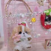 ヒメ日記 2026/04/05 00:52 投稿 なこ 熟女デリヘル倶楽部